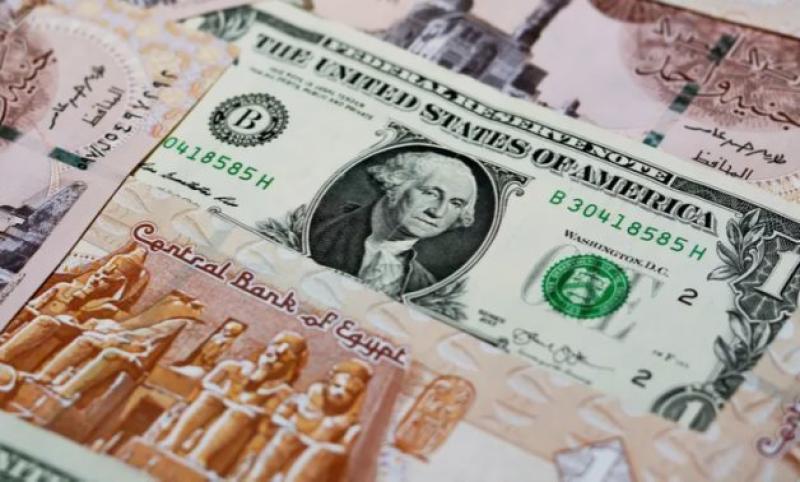 25 % تراجعًا في أسعار الدولار بالسوق السوداء