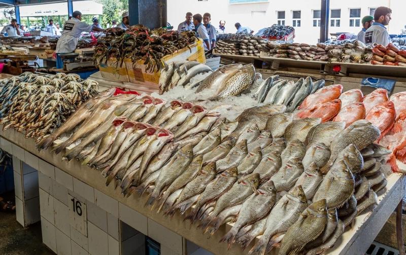 أسعار الأسماك اليوم السبت 25 مايو 2024