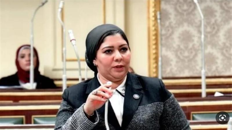 الدكتورة شيماء محمود نبيه، عضو مجلس النواب