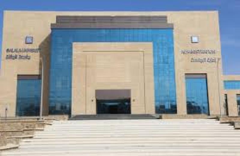 جامعة الإسكندرية الأهلية